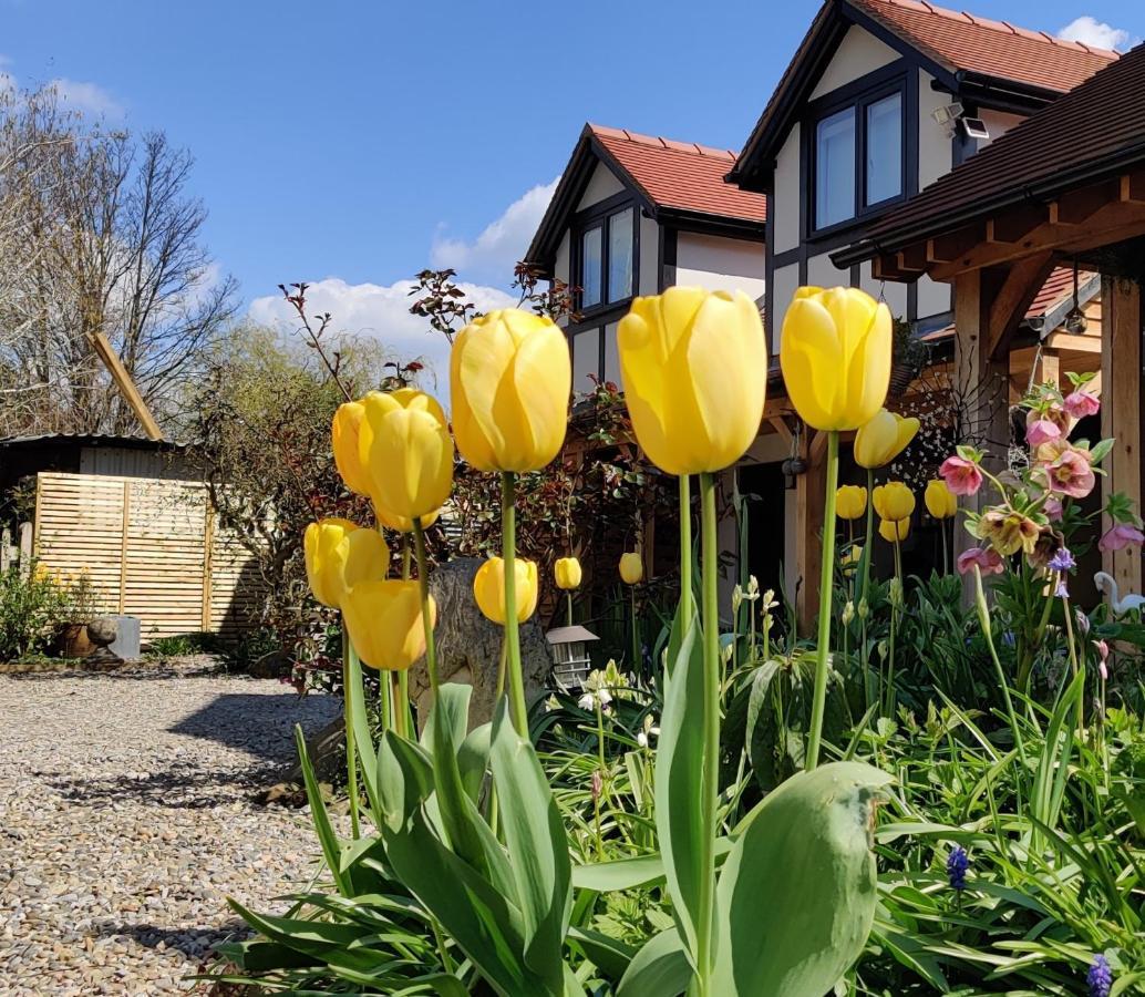 Delightful & Picturesque Modern Detached Apartment, Next To Chester Zoo, Near Park And Ride To City Centre Экстерьер фото